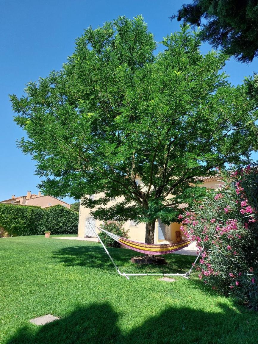En Provence, Chez Stephanie Et Marcel Saint-Rémy-de-Provence Екстериор снимка